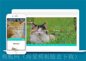 可爱经典流浪动物领养中心网站模板（带后台）