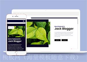 简约蓝色营销策划与运营HTML5通用模板（带后台）