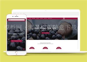 精美紫色葡萄种植HTML5网站模板（带后台）