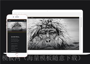 黑色宽屏野生动物保护组织网页静态模板（带后台）