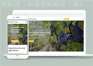 自适应绿色有机农产品种植公司html网站模板（带后台）