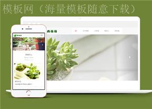 绿色多肉盆栽植物养殖网站模板下载（带后台）