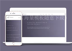 宽屏简约风格创意工作室官网网站模板（带后台）