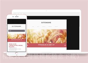 简约窄屏整洁的个人博客单页网站模板（带后台）