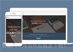 横版大屏响应式营销推广公司网站模板（带后台）