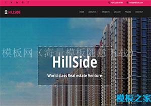 Hillside精致奢华房地产建设公司首页网站模板（带后台）