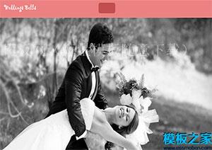 wedding bells浪漫唯美粉色页眉婚庆公司响应式网站模板（带后台）