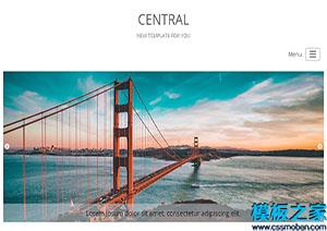 Central大气响应式商务机构中央网站模板（带后台）