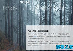Nature完整背景图片适于摄影布局网站模板（带后台）