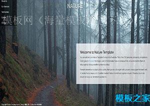 Nature自然森林风光css单页响应式模板（带后台）
