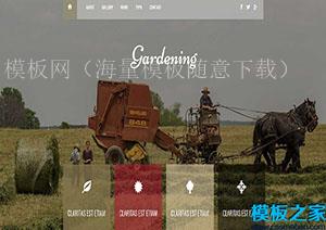 Gardening园艺家庭作业响应式web网站模板（带后台）