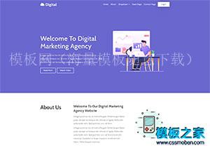 数字营销市场推广公司代理html5模板（带后台）