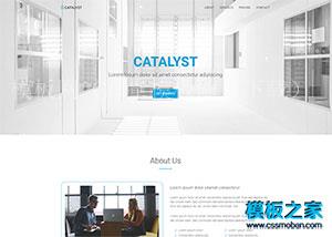 Catalyst家政清洁服务收费表网站模板（带后台）