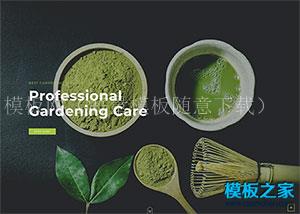 宽屏绿色有机蔬菜种植响应式模板（带后台）