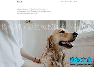 极简个人博客宽屏bootstrap模板（带后台）