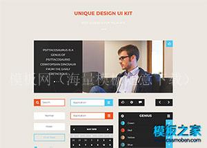 DESIGN UI KIT扁平化框架css3代码（带后台）