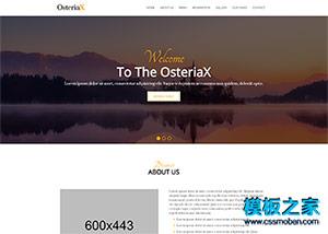 橙色商品推广响应式bootstrap模板（带后台）