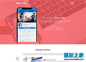 App小程序开发者企业官网响应式模板（带后台）