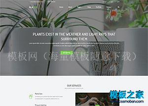 绿色盆栽园艺工作室bootstrap精品模板（带后台）