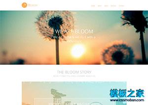 BLOOM小清新户外旅行专题模板（带后台）