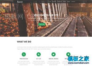 Lancar - Bootstrap单页响应式html5模板（带后台）