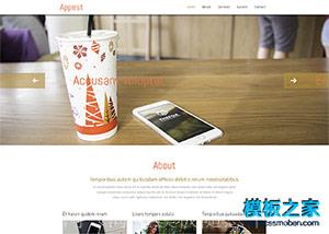 app开发者企业官网响应式模板（带后台）