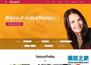 宽屏婚恋交友网站企业整站模板（带后台）
