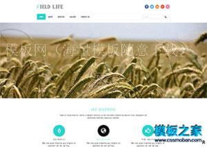 农业环保绿色简洁农场网页模板（带后台）