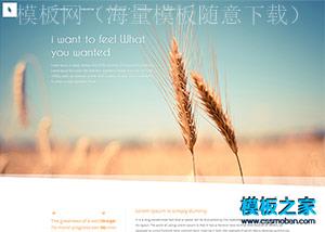 漂亮极致简洁大气商务企业整站模板（带后台）