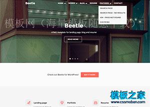 扁平化宽屏大气互联网手机产品html5模板（带后台）