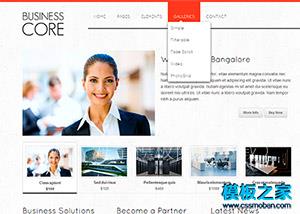 简洁清晰建材家居展示企业整站模板（带后台）