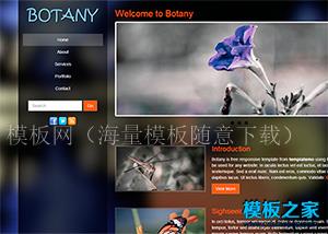 黑色漂亮透明背景响应式手机模板（带后台）