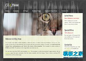黑色孔雀插画透明导航css3模板（带后台）