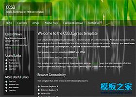 绿色植物透明导航二栏css3模板（带后台）
