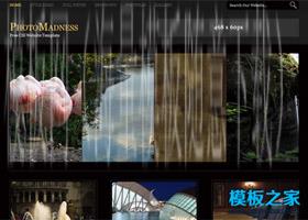黑色个性的企业网站模板（带后台）