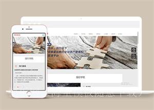 项目资金投资管理网站前端模板（带后台）