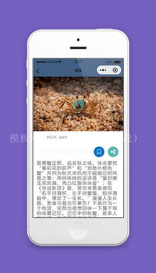 新闻小程序新闻内容详情页面源码下载（带后台）