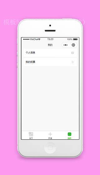 信息查询投票情况记录个人中心页程序源码（带后台）